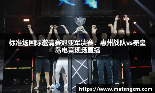 标准场国际邀请赛冠亚军决赛：惠州战队vs秦皇岛电竞现场直播