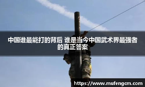 中国谁最能打的背后 谁是当今中国武术界最强者的真正答案