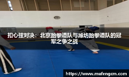 扣心弦对决：北京跆拳道队与潍坊跆拳道队的冠军之争之战