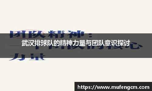 武汉排球队的精神力量与团队意识探讨